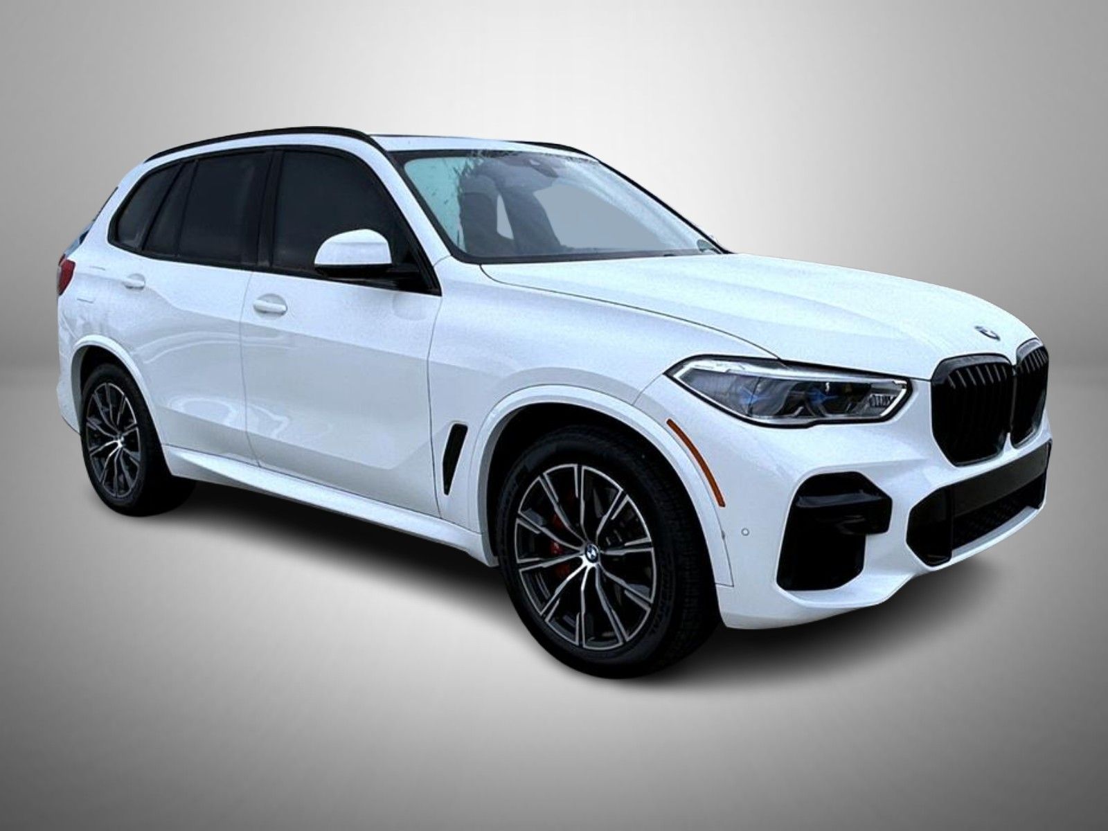 2023 Bmw X5 xDrive40i photo 3