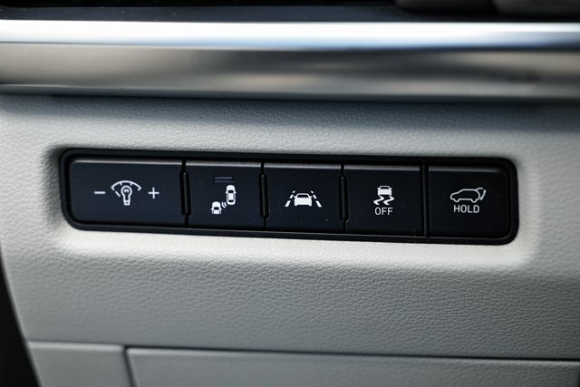 2021 Kia Telluride SX photo 19