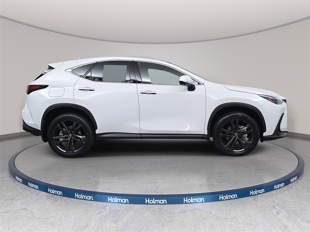 2026 Lexus NX Luxury AWD photo 3