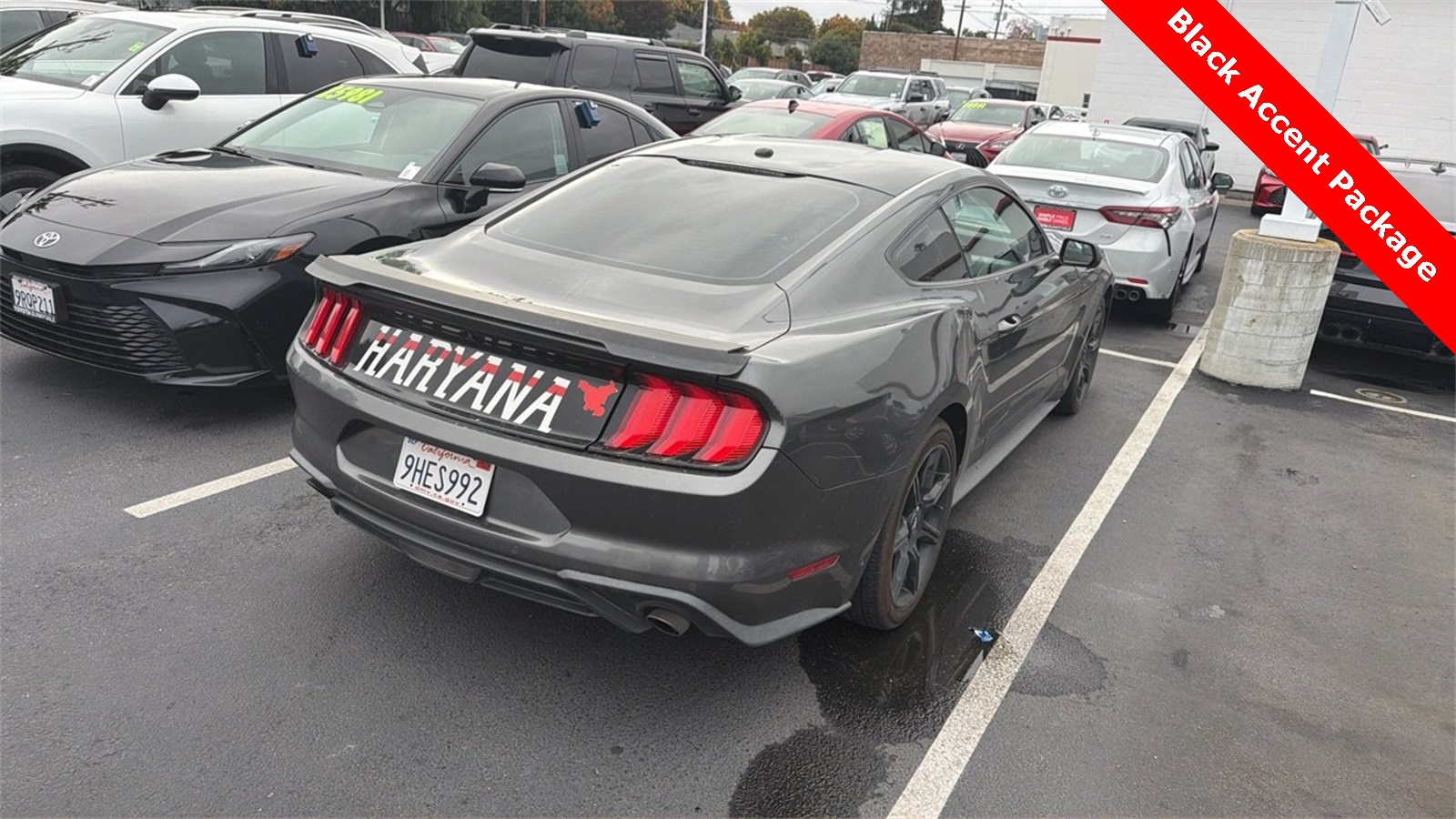 2019 Ford Mustang EcoBoost