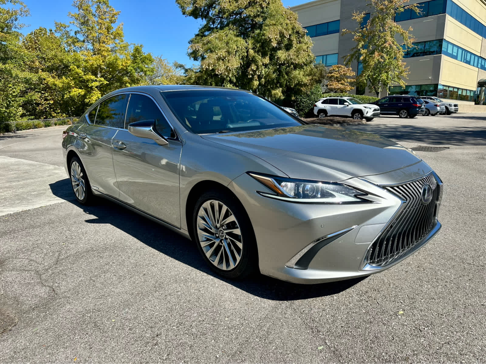 2019 Lexus ES Luxury photo 3