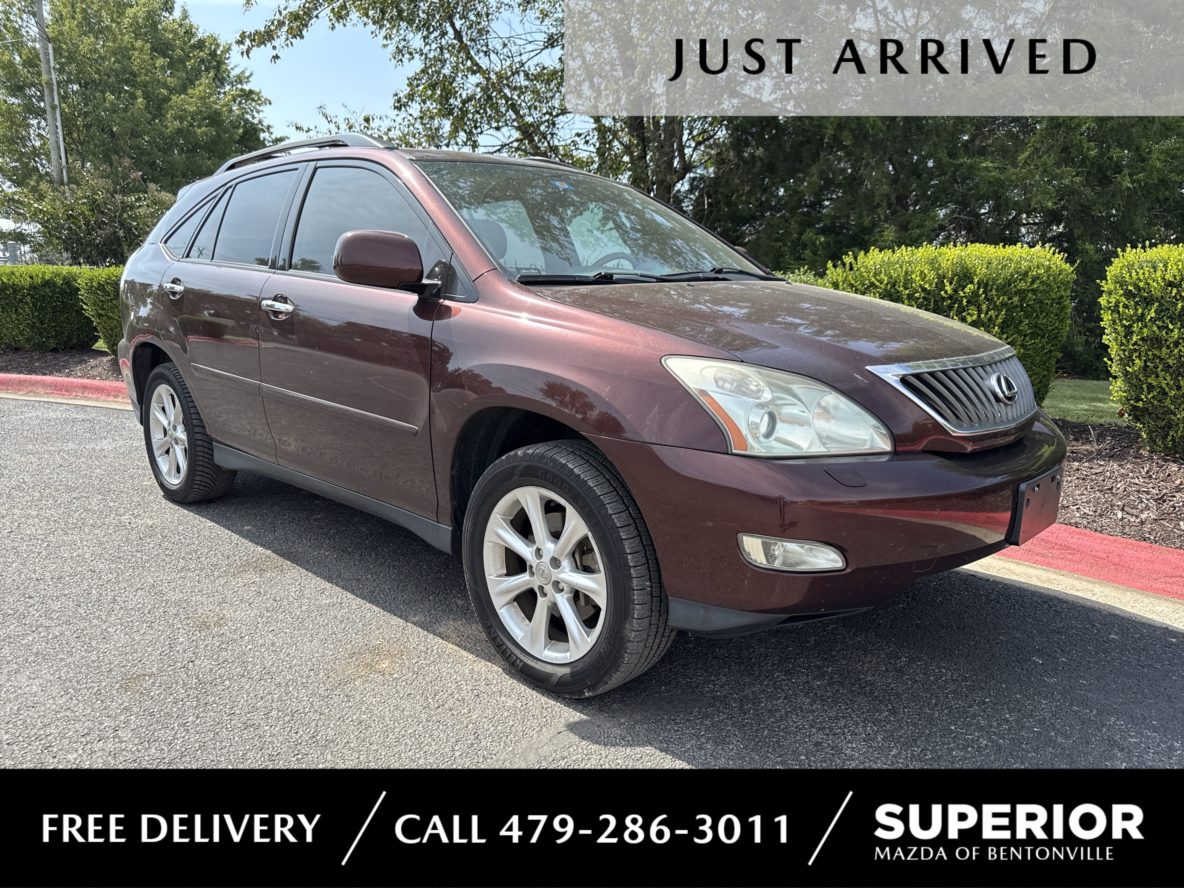 2008 Lexus RX