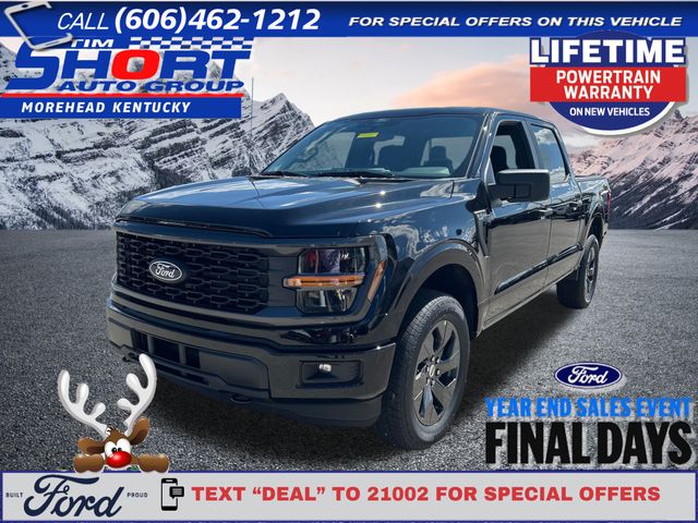 2025 Ford F-150 STX's photo