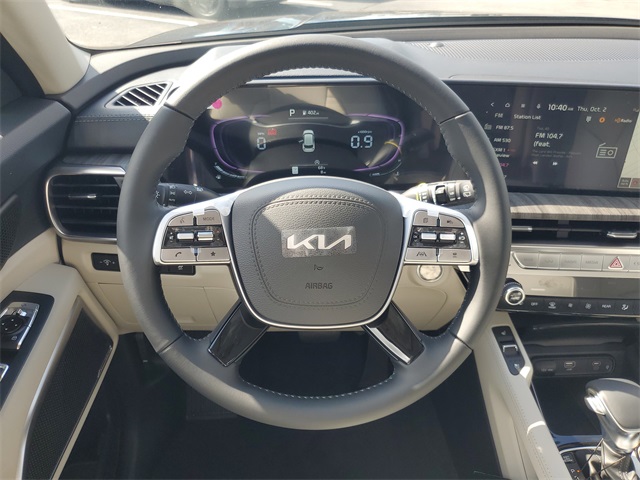 2025 Kia Telluride EX photo 10