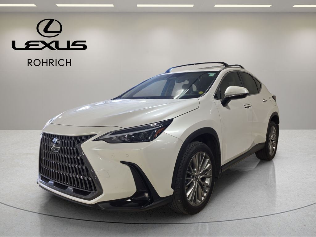 2025 Lexus NX 350's photo