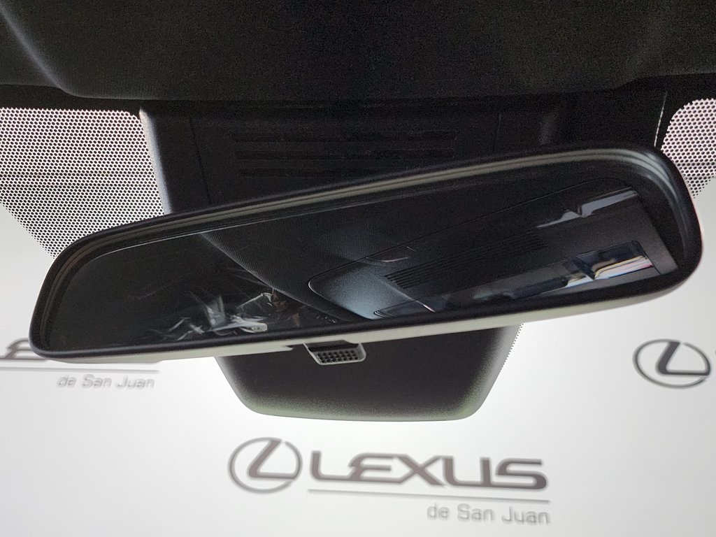 2025 Lexus UX photo 19