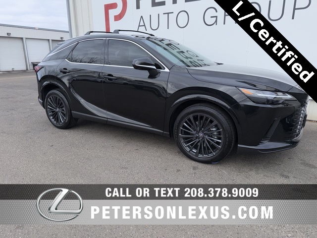 2024 Lexus RX 350's photo