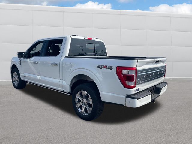 2023 Ford F-150 Platinum photo 3