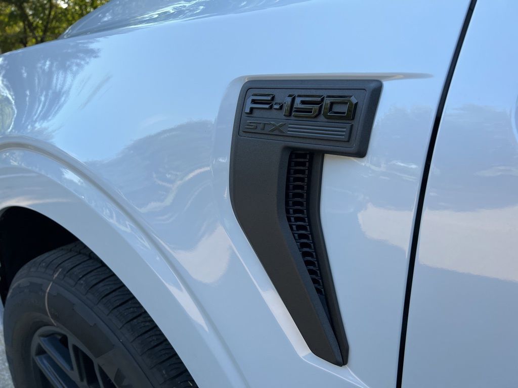 2025 Ford F-150 STX photo 34