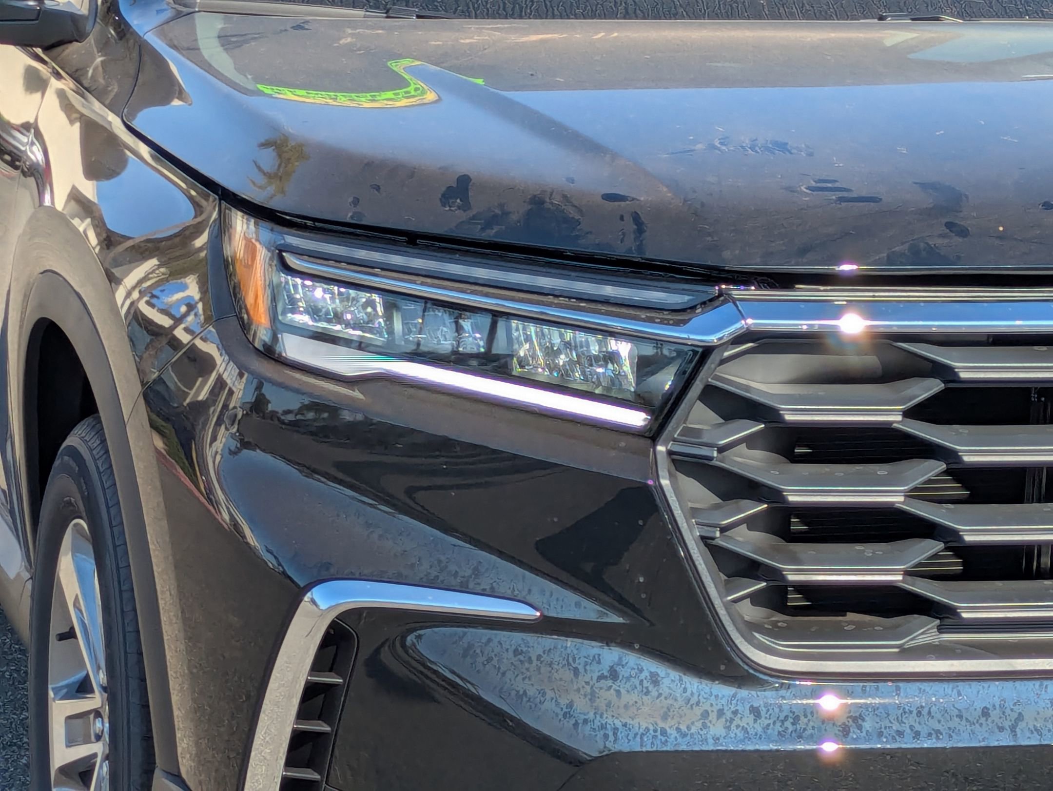 2025 Honda Pilot EX-L photo 10