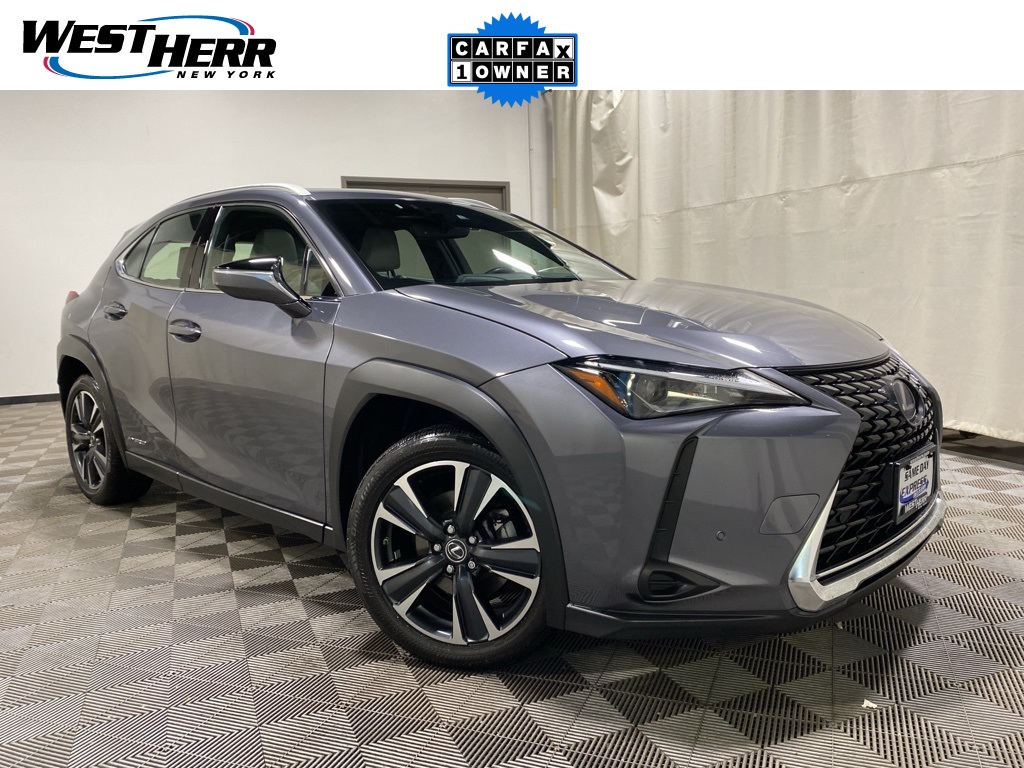 2021 Lexus UX Hybrid 250h's photo