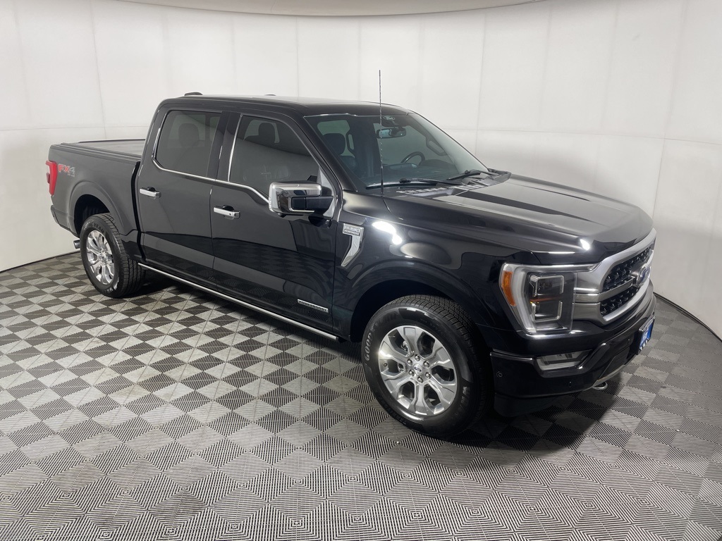 2021 Ford F-150 Platinum's photo