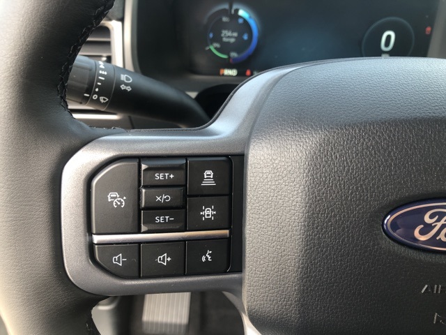 2025 Ford F-150 Lightning photo 14