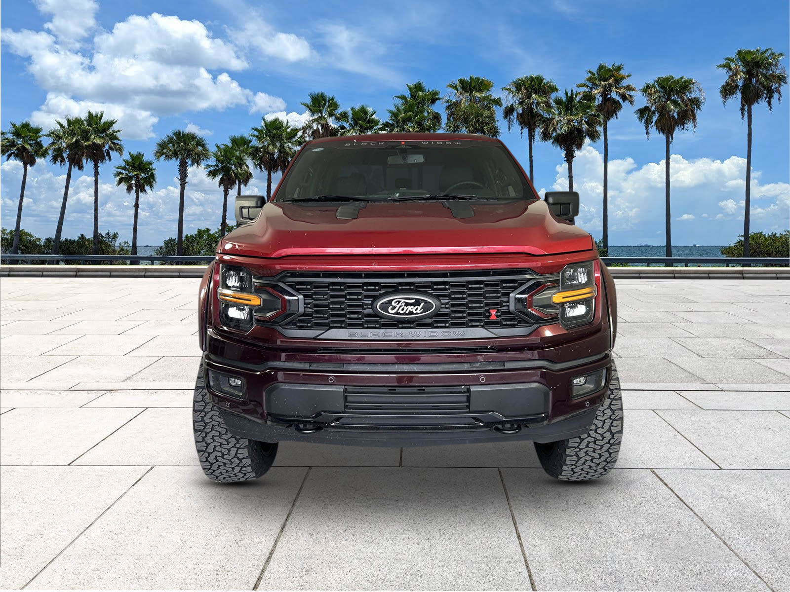 2025 Ford F-150 XLT photo 3