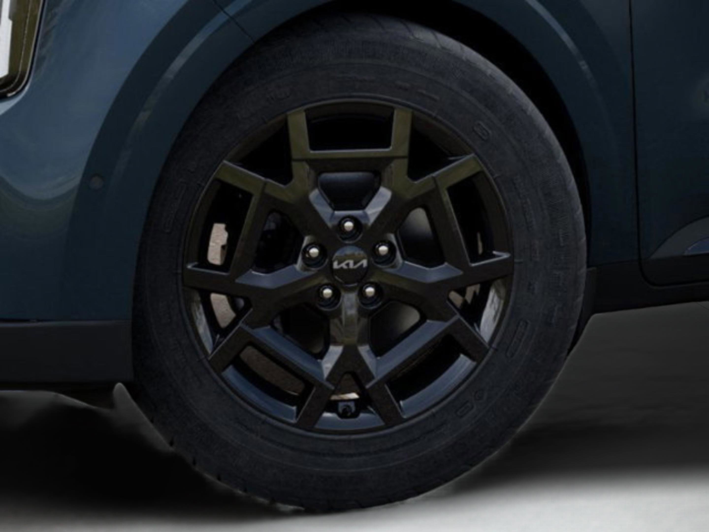2026 Kia Carnival SX photo 10