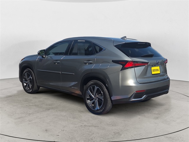 2019 Lexus NX 300h Luxury photo 3