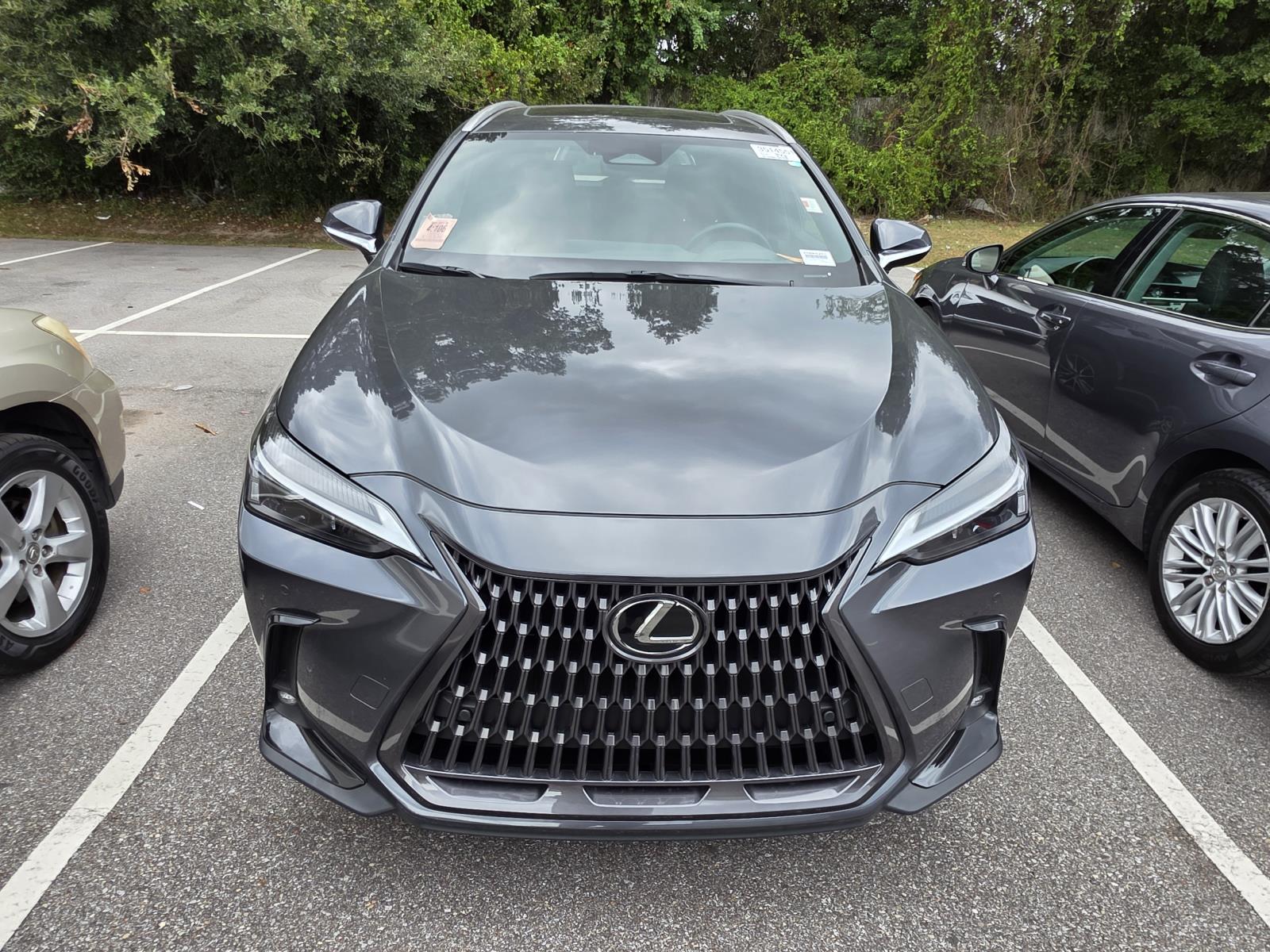 2024 Lexus NX 350 Premium photo 2