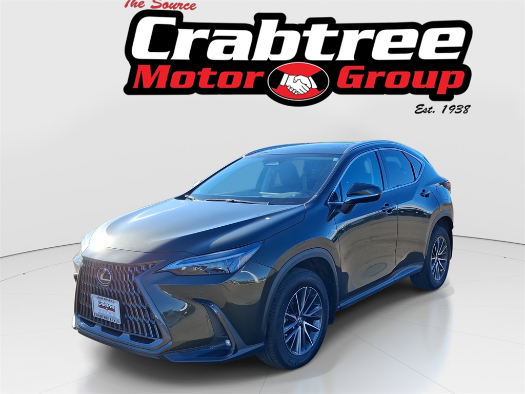 2023 Lexus NX Base's photo