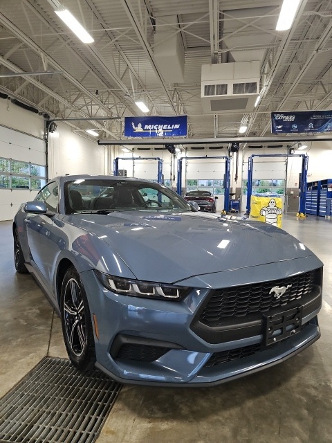 2024 Ford Mustang EcoBoost photo 4