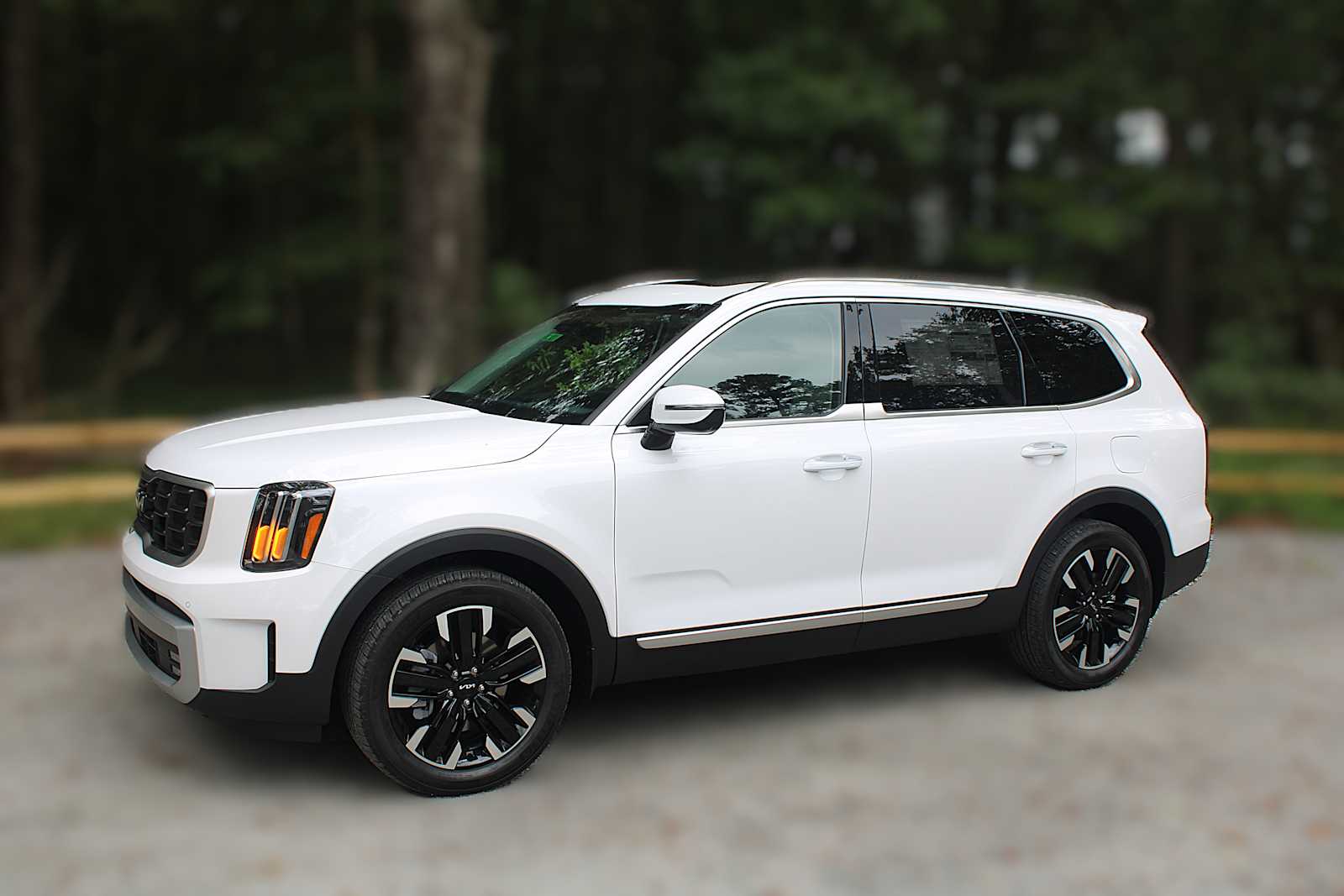 2025 Kia Telluride SX Prestige photo 3