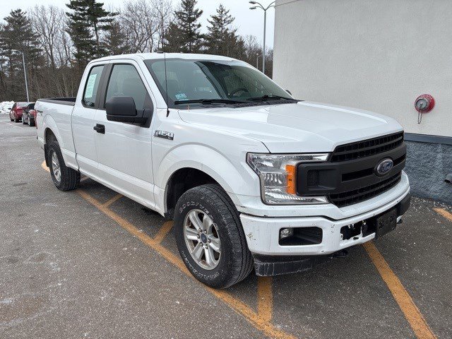 2019 Ford F-150 XL's photo