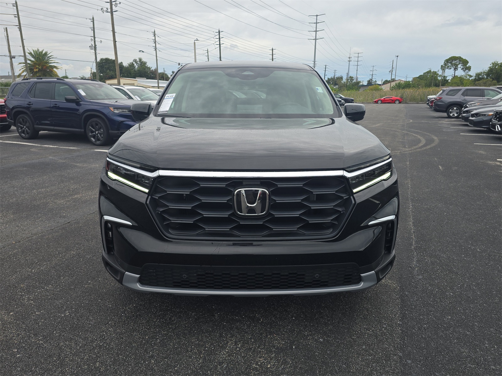 2025 Honda Pilot EX-L photo 5