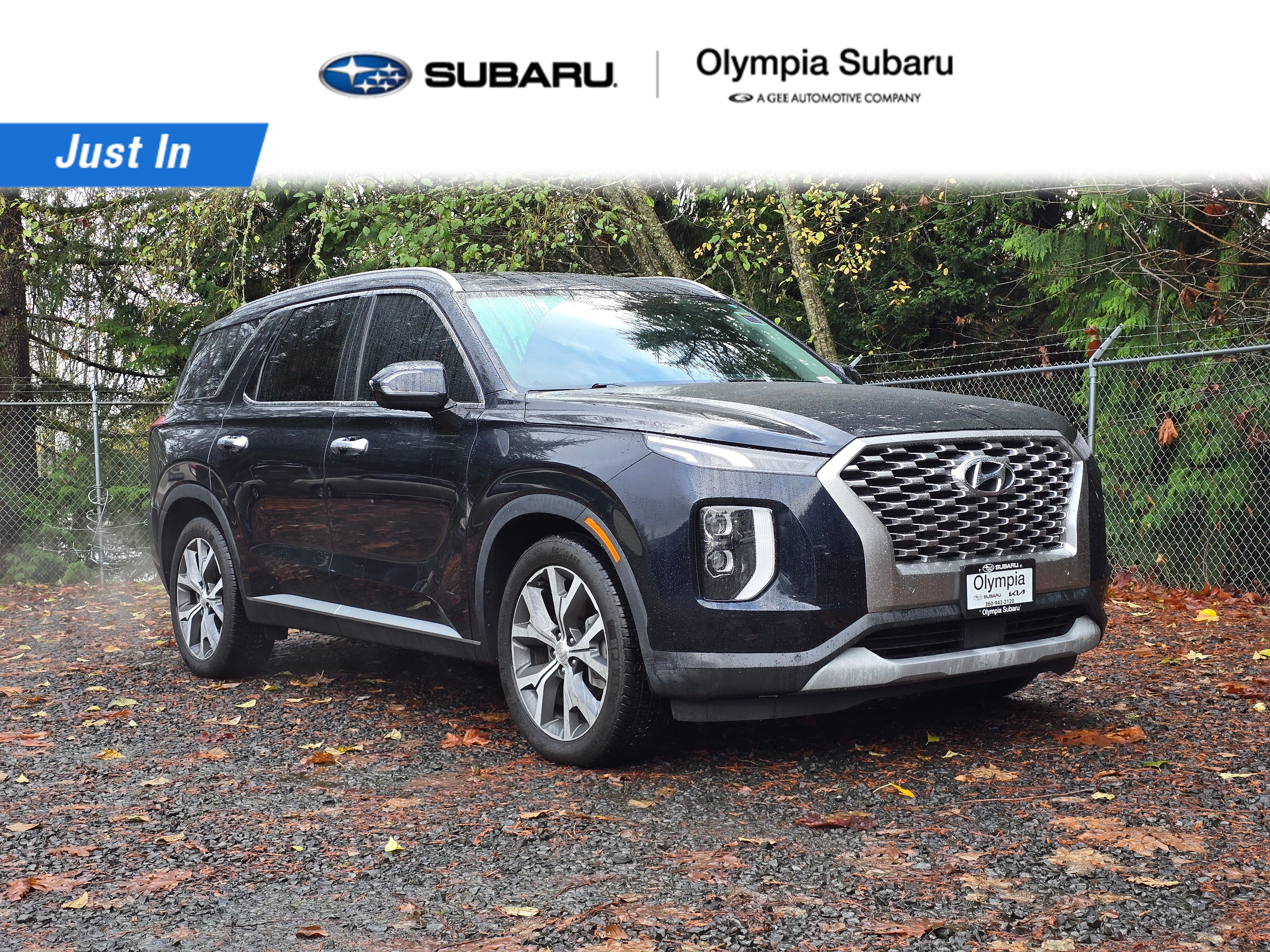 2022 Hyundai Palisade SEL's photo