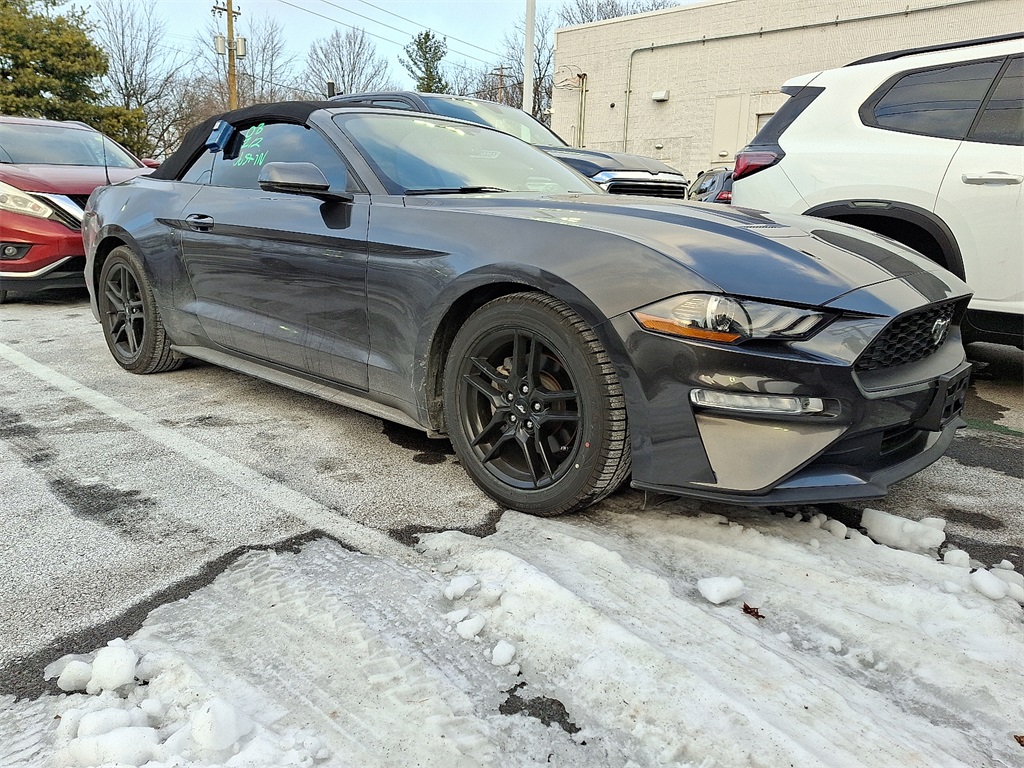 2019 Ford Mustang EcoBoost Premium's photo