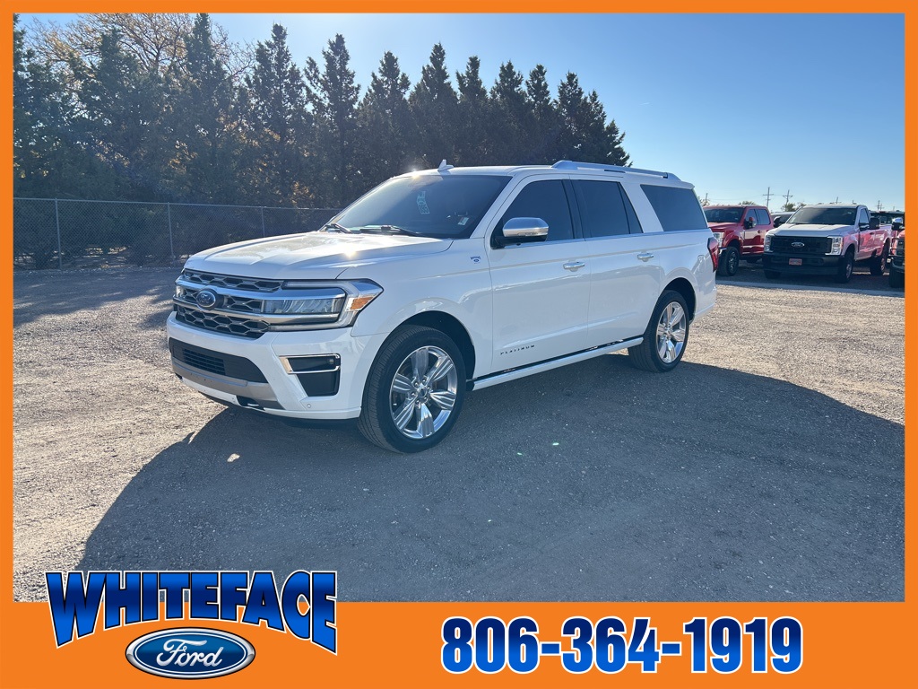 2022 Ford Expedition Platinum's photo