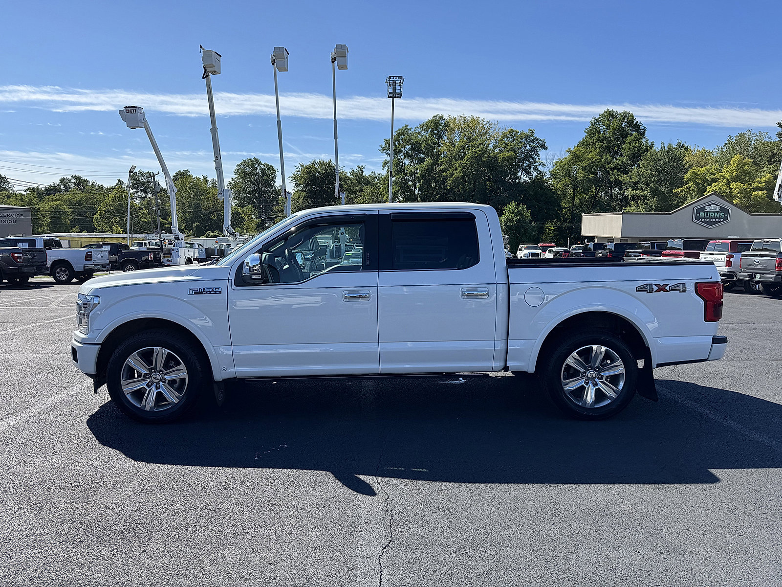 2020 Ford F-150 Platinum photo 5