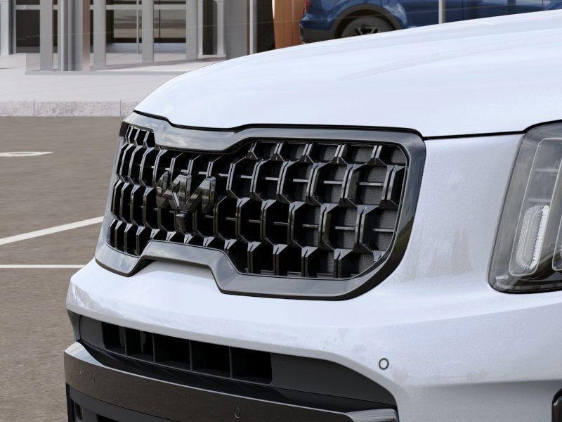 2025 Kia Telluride SX X-Line photo 10