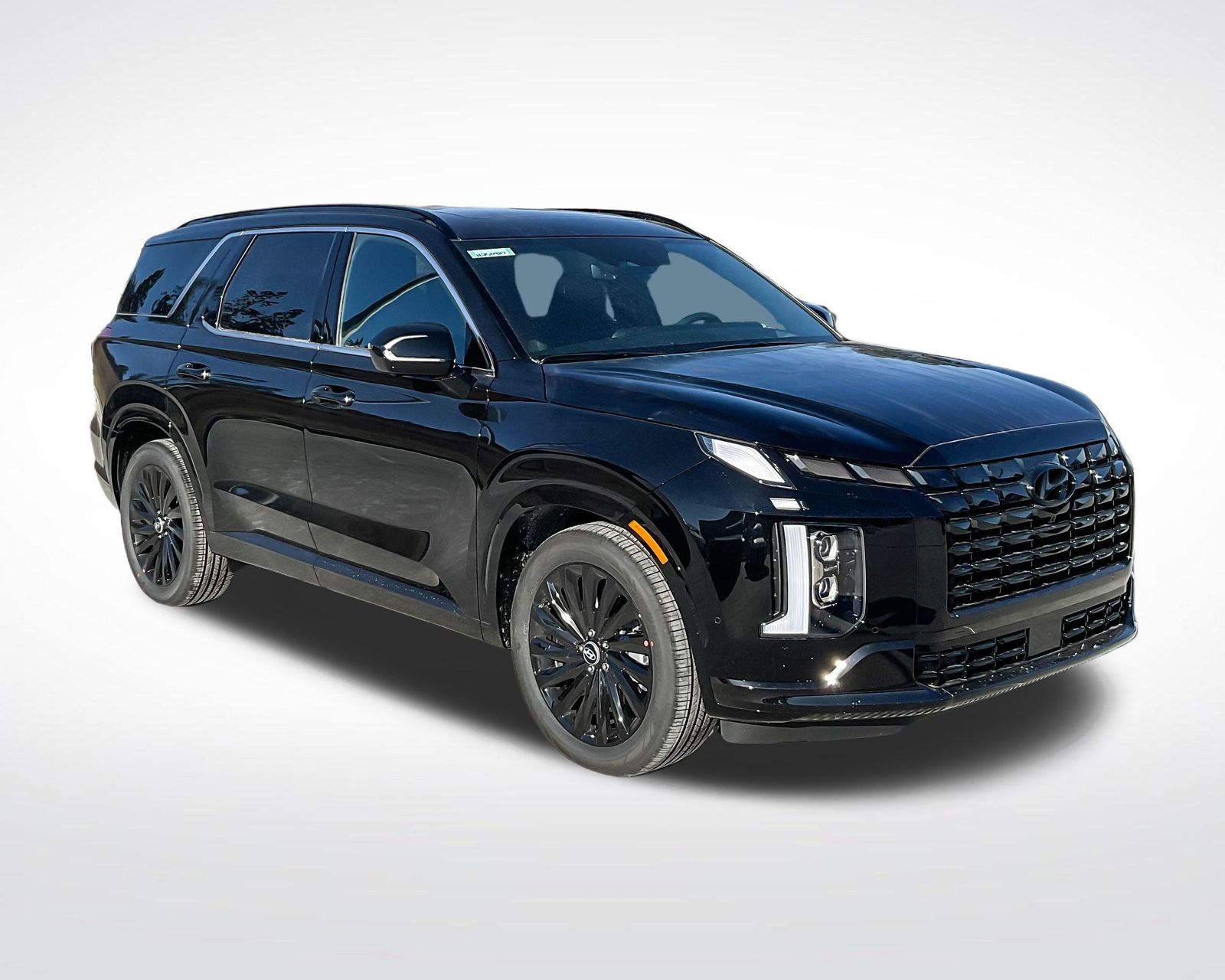 2025 Hyundai Palisade Calligraphy photo 3
