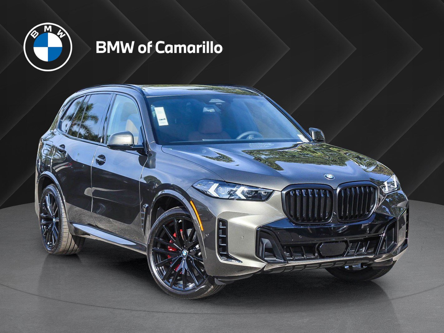 2026 BMW X5 40i's photo