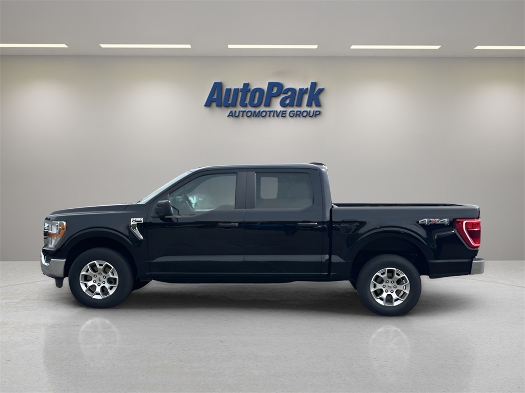 2023 Ford F-150 XLT photo 4