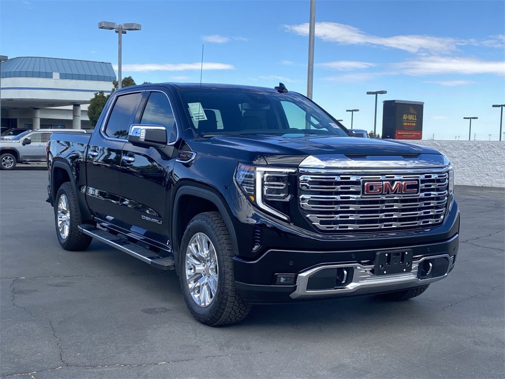 2025 Gmc Sierra 1500 Denali photo 3