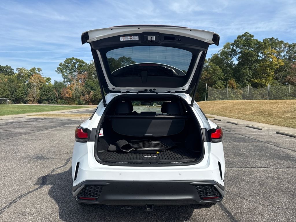 2024 Lexus RX 350 F SPORT Handling photo 9