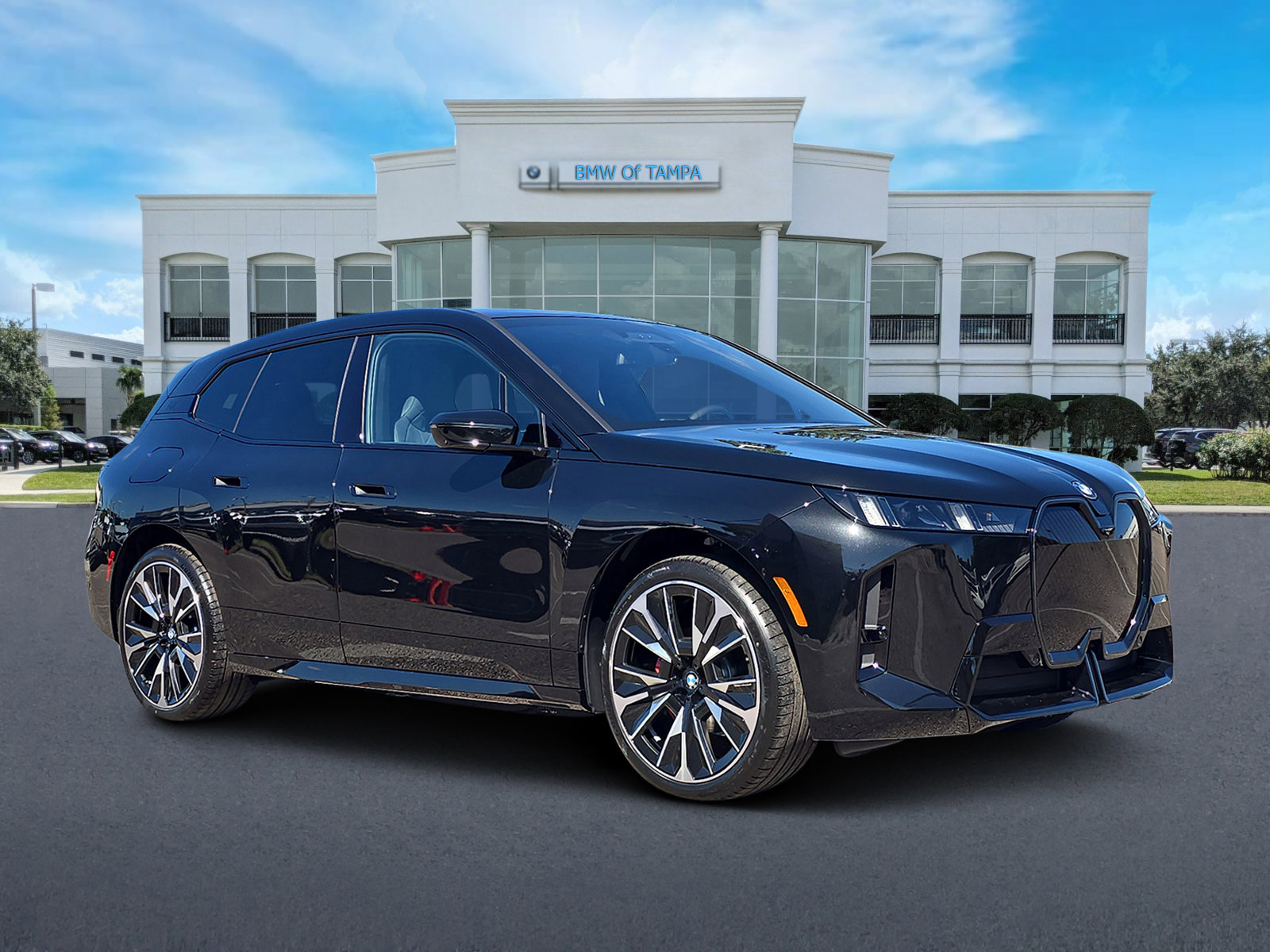 2026 BMW iX 60's photo