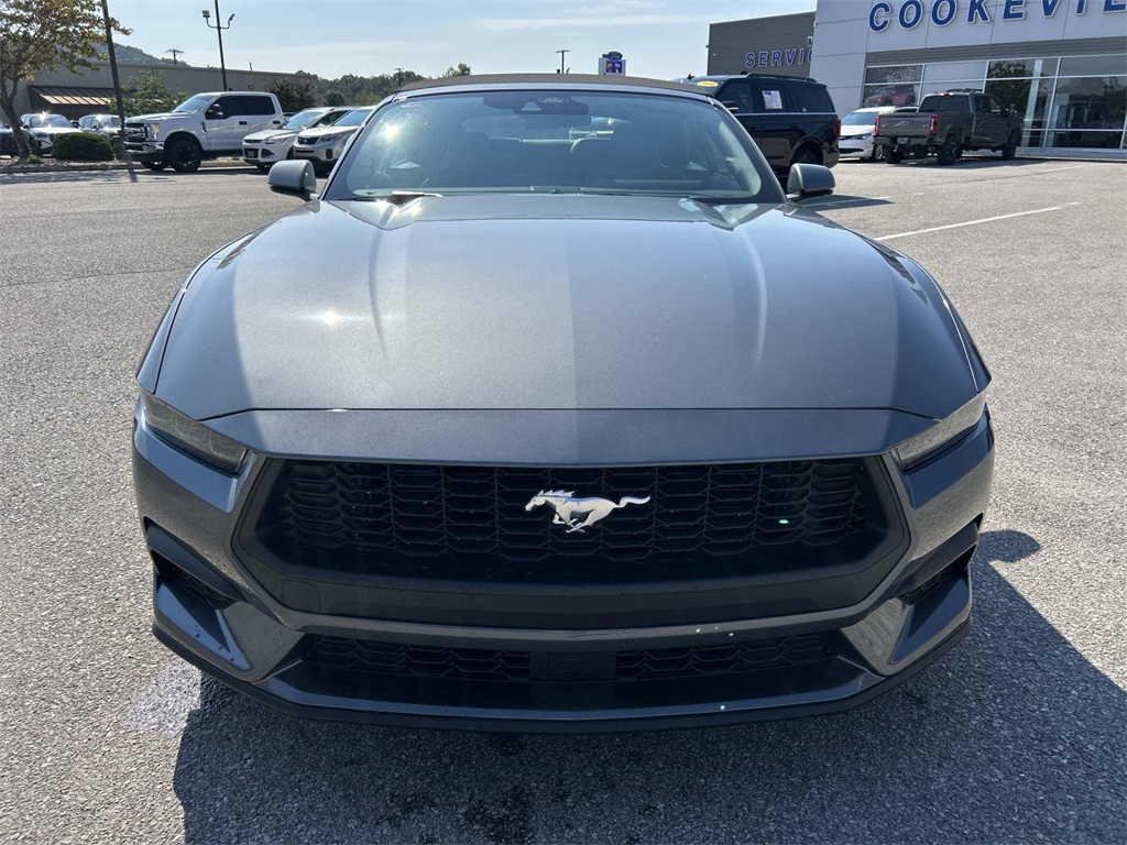 2025 Ford Mustang EcoBoost Premium Convertible photo 9