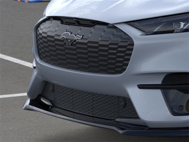 2025 Ford Mustang Mach-E GT photo 14