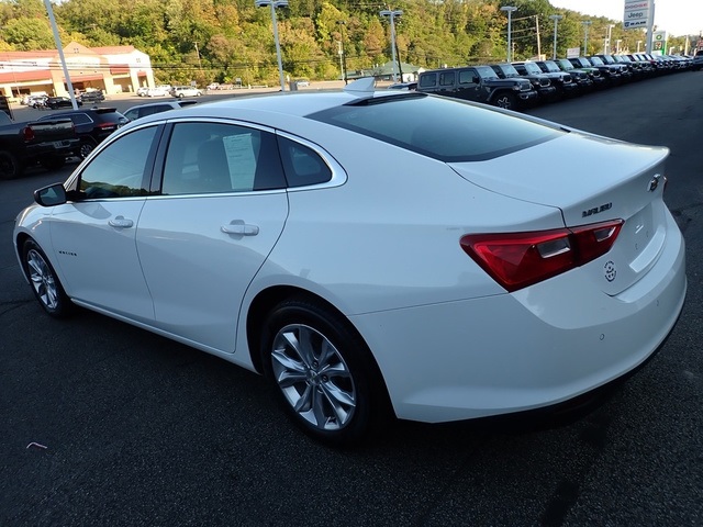 2023 Chevrolet Malibu 1LT photo 3