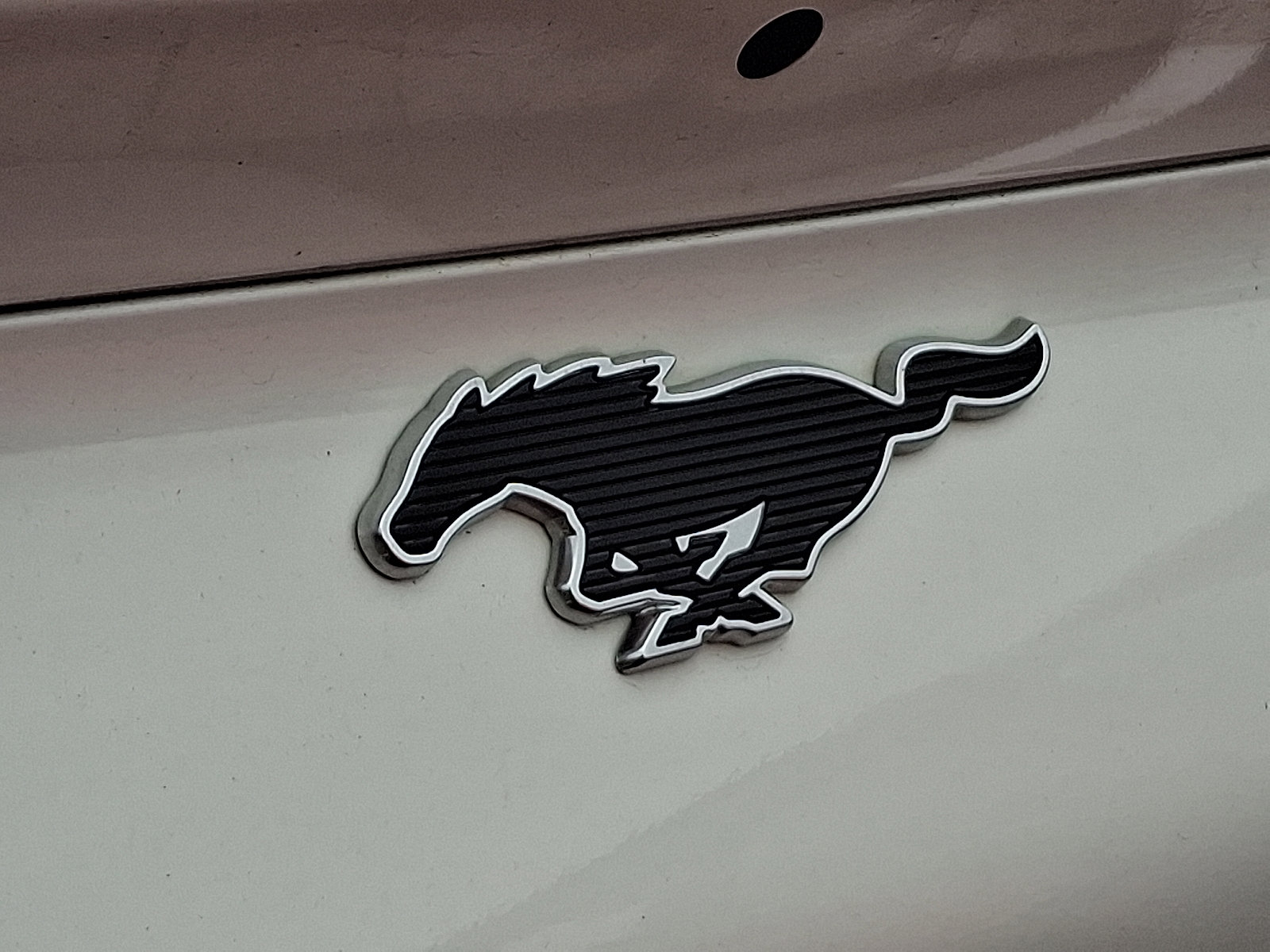 2021 Ford Mustang Mach-E Premium photo 4