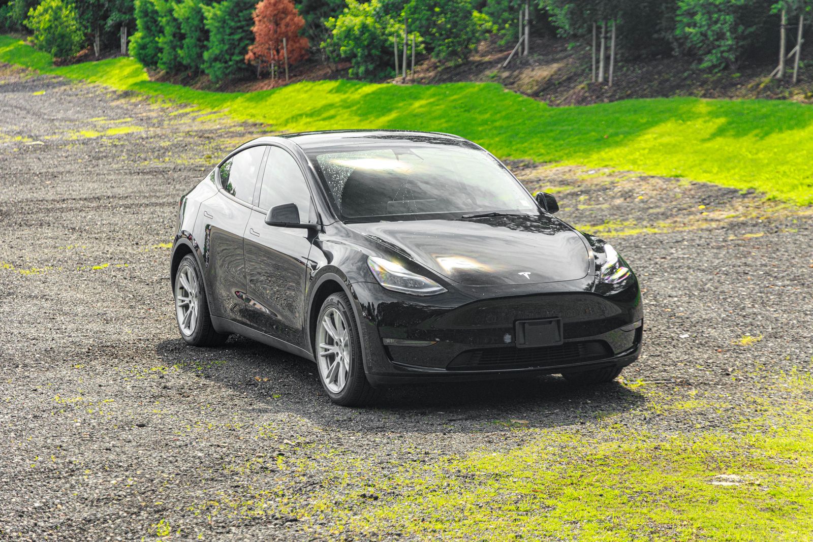 2023 Tesla Model Y Long Range photo 12