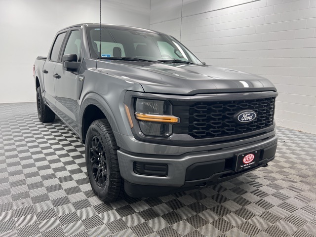 2025 Ford F-150 STX's photo