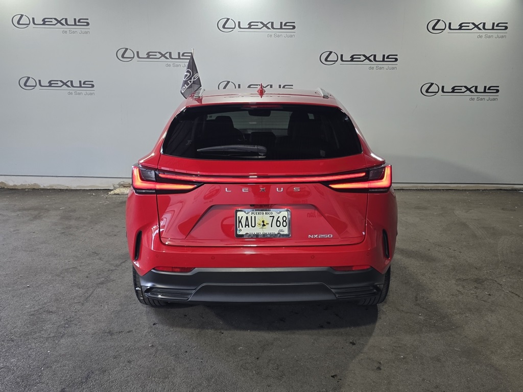 2023 Lexus NX 250 photo 9