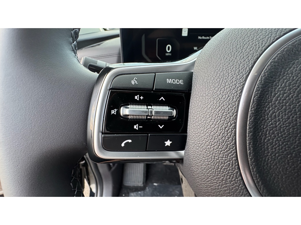 2026 Kia Carnival SX Prestige photo 8