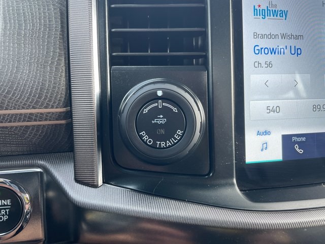 2022 Ford F-150 Platinum photo 30