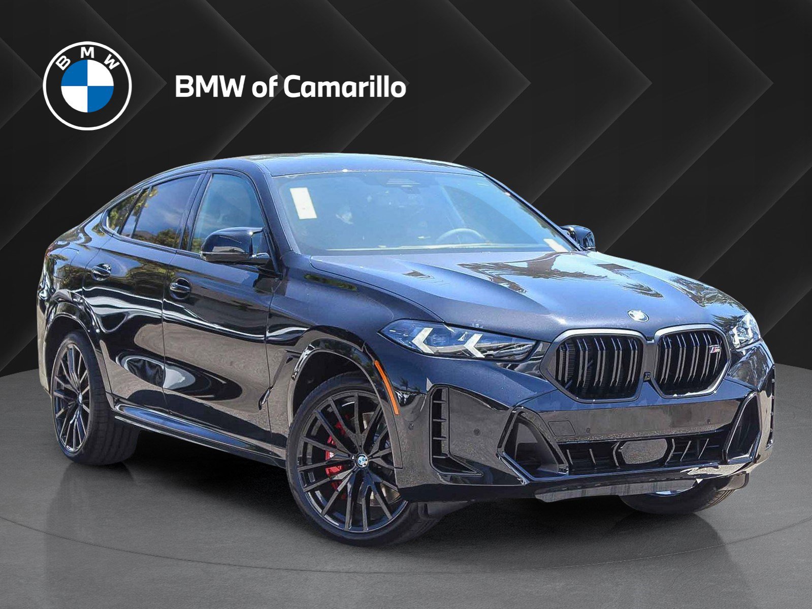 2026 BMW X6 M60i's photo