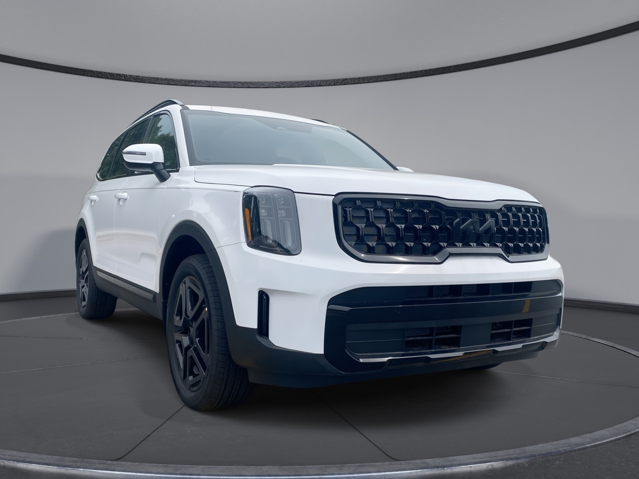 2025 Kia Telluride EX X-Line's photo