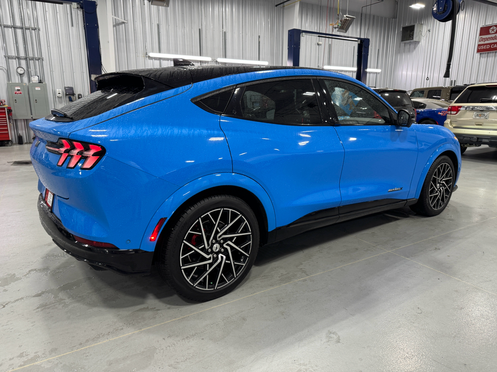 2021 Ford Mustang Mach-E GT photo 11