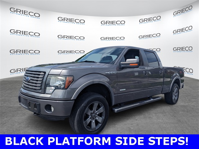 2012 Ford F-150 FX4 photo 3